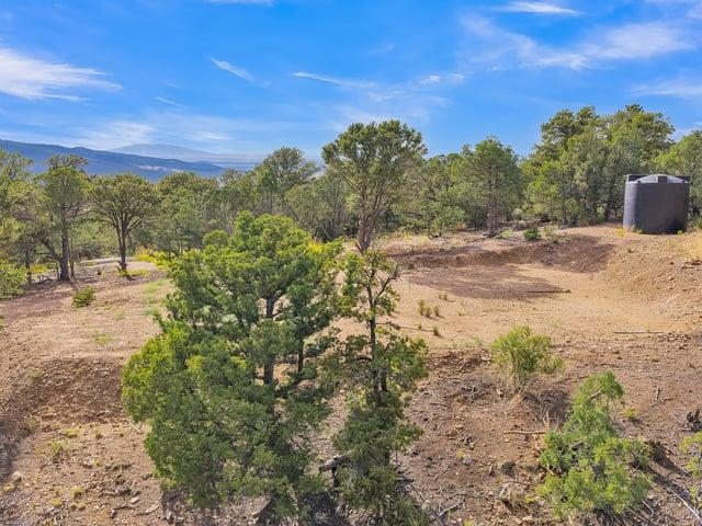 Vacant wooded lot with dry dirt terrain, a water tank, and distant mountain views.