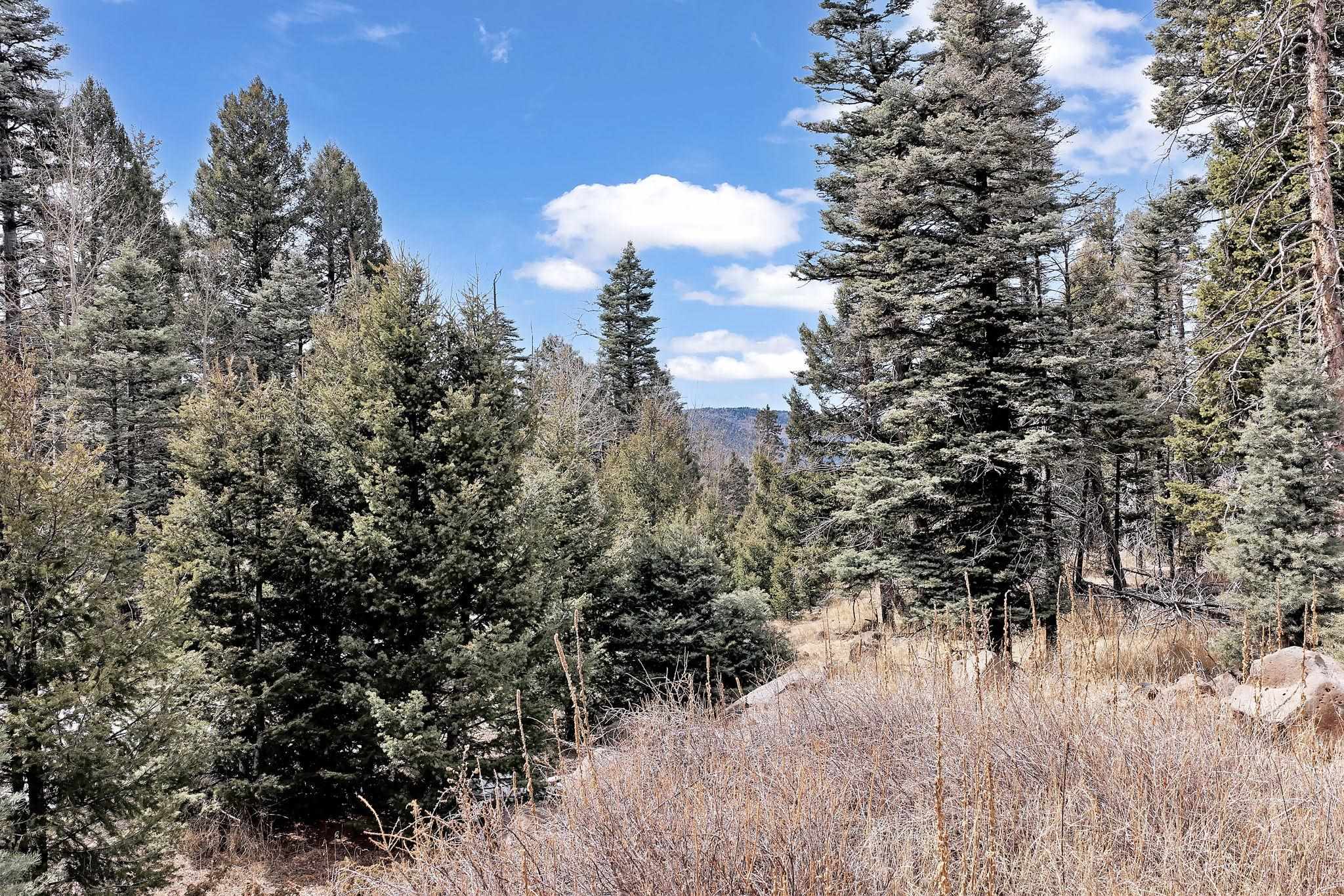 Lot 1368 Skyview Overlook