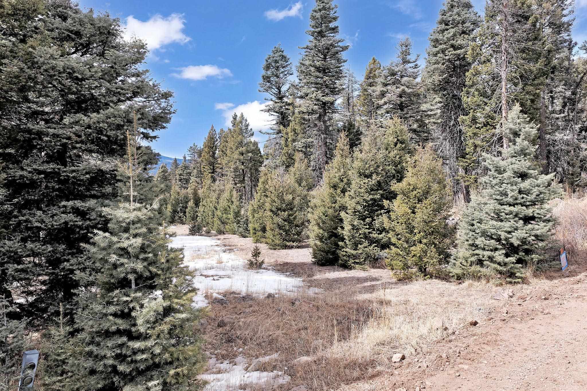 Lot 1368 Skyview Overlook