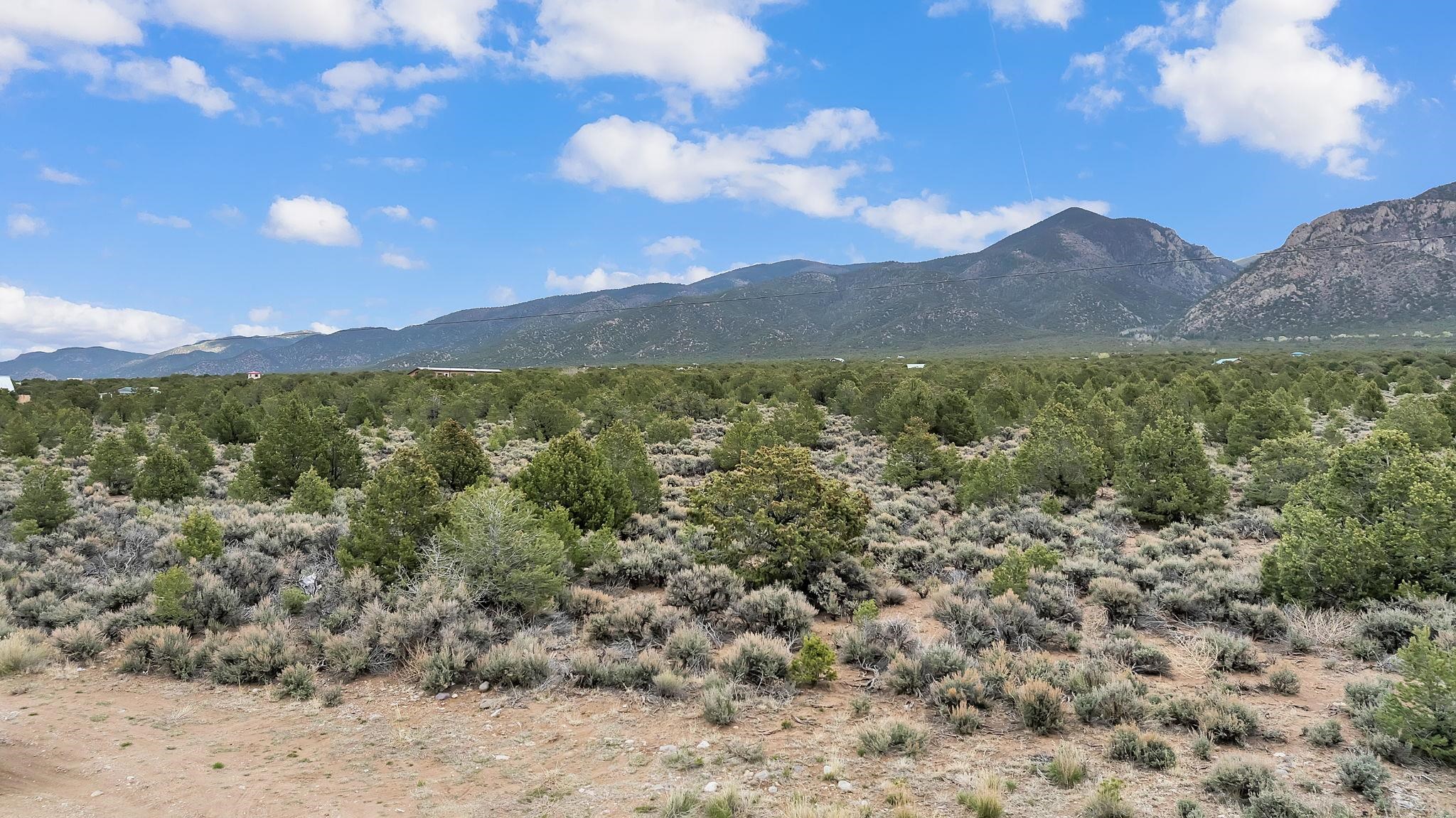 5 Acres Windmill Road