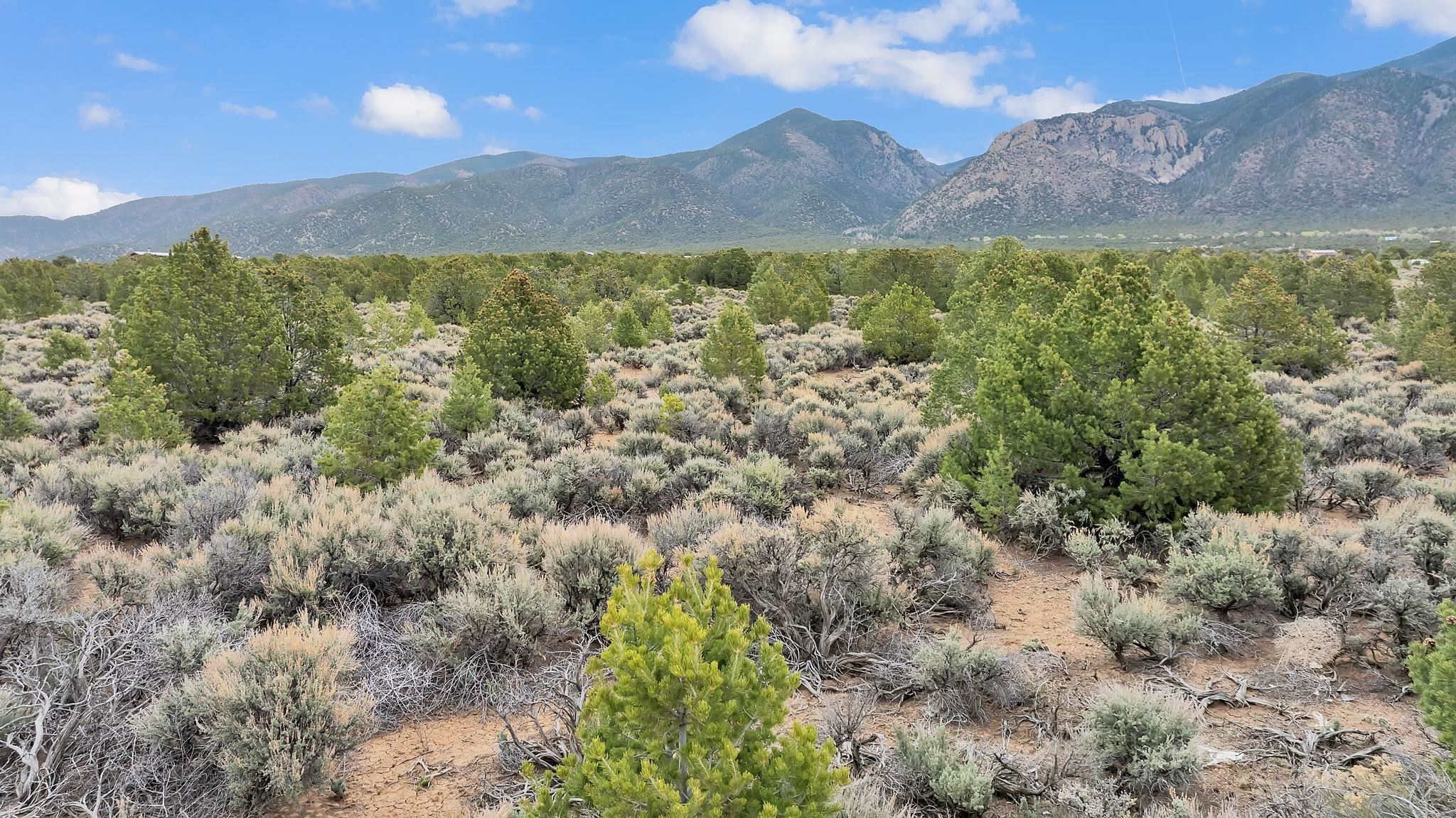 5 Acres Windmill Road