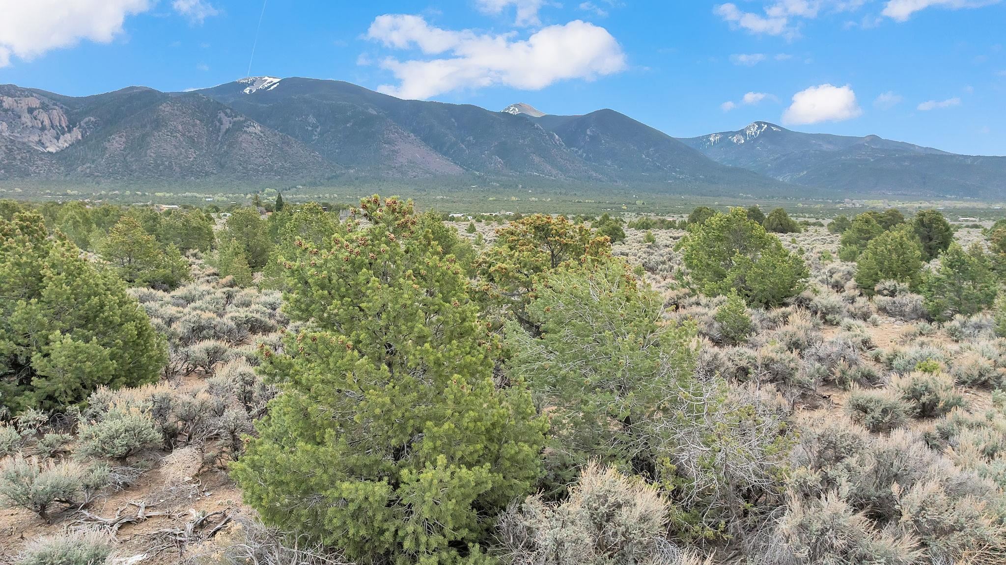 5 Acres Windmill Road