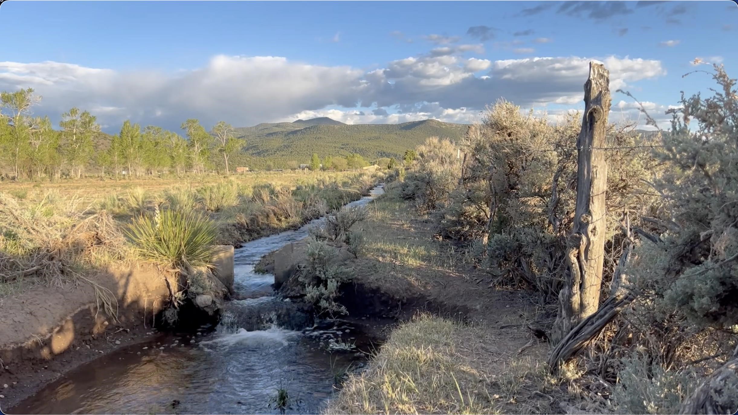 35 Plus Acres off Highway 522 and Myers