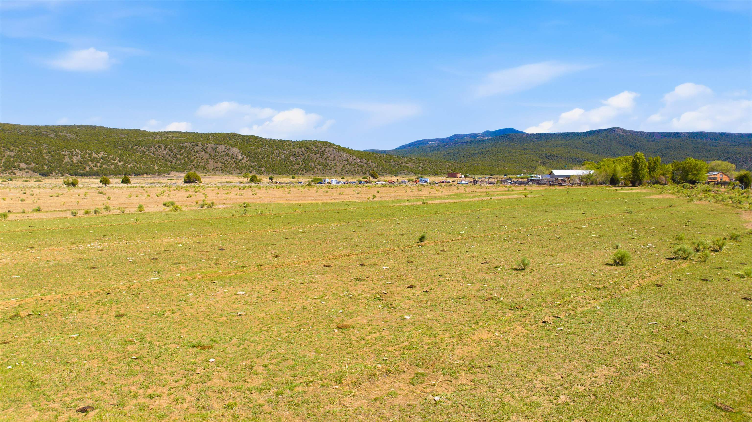 15 Plus Acres off Highway 522 and Myers