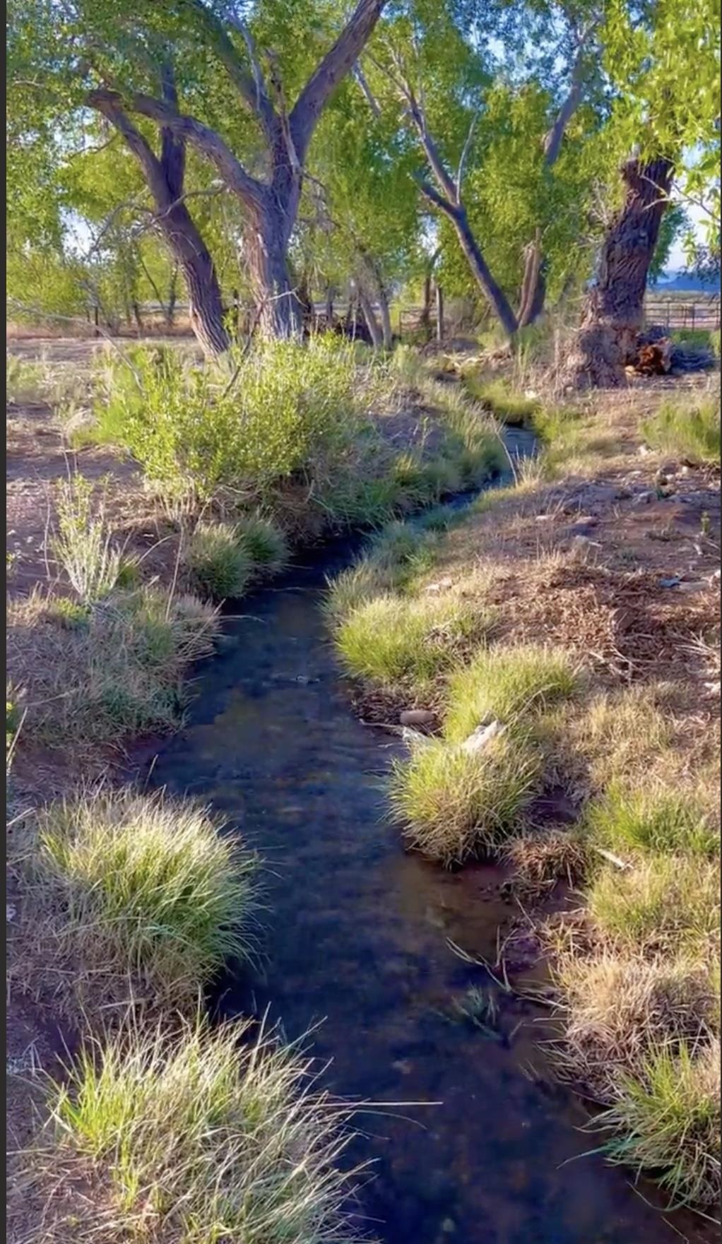15 Plus Acres off Highway 522 and Myers