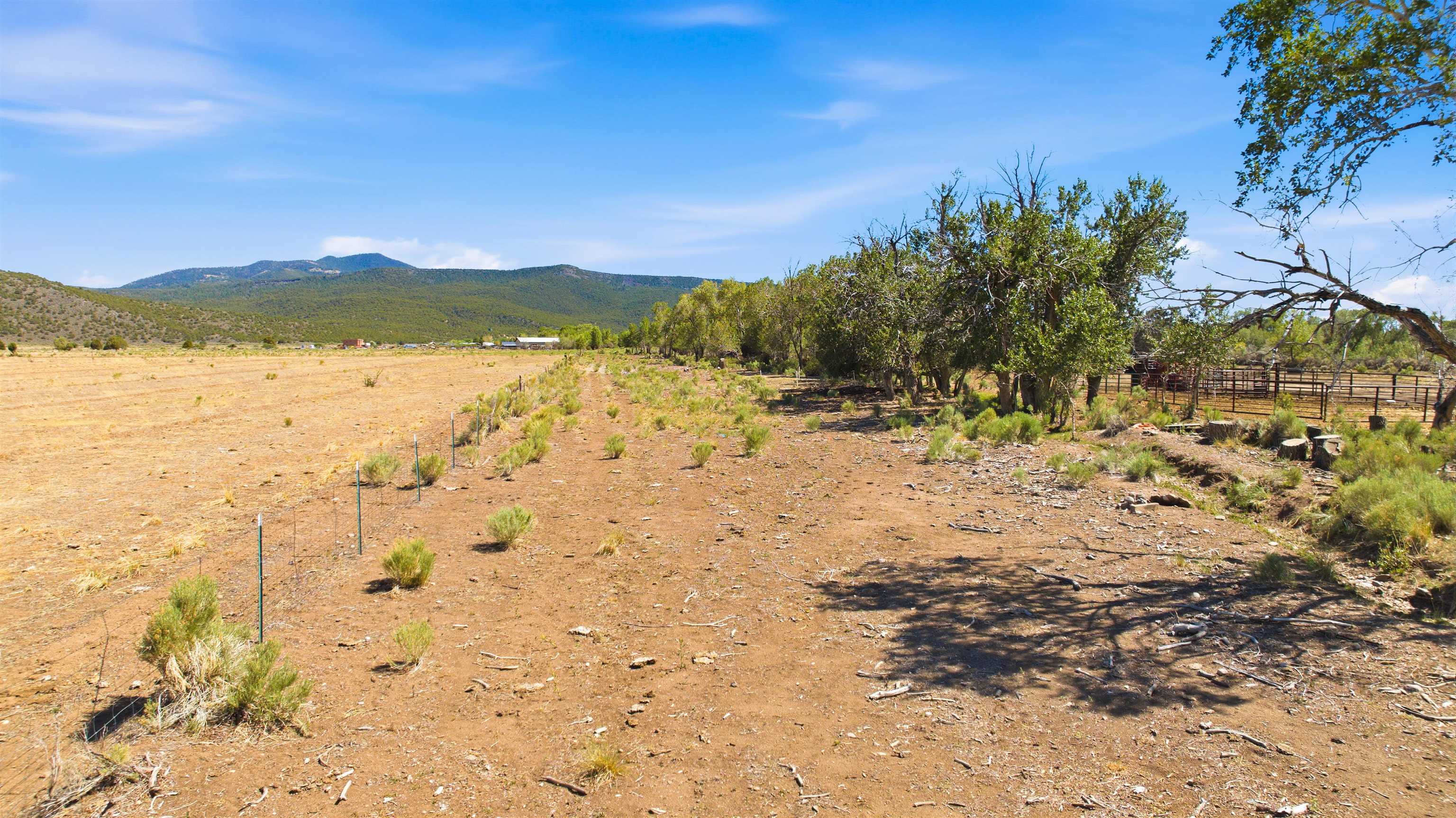 15 Plus Acres off Highway 522 and Myers