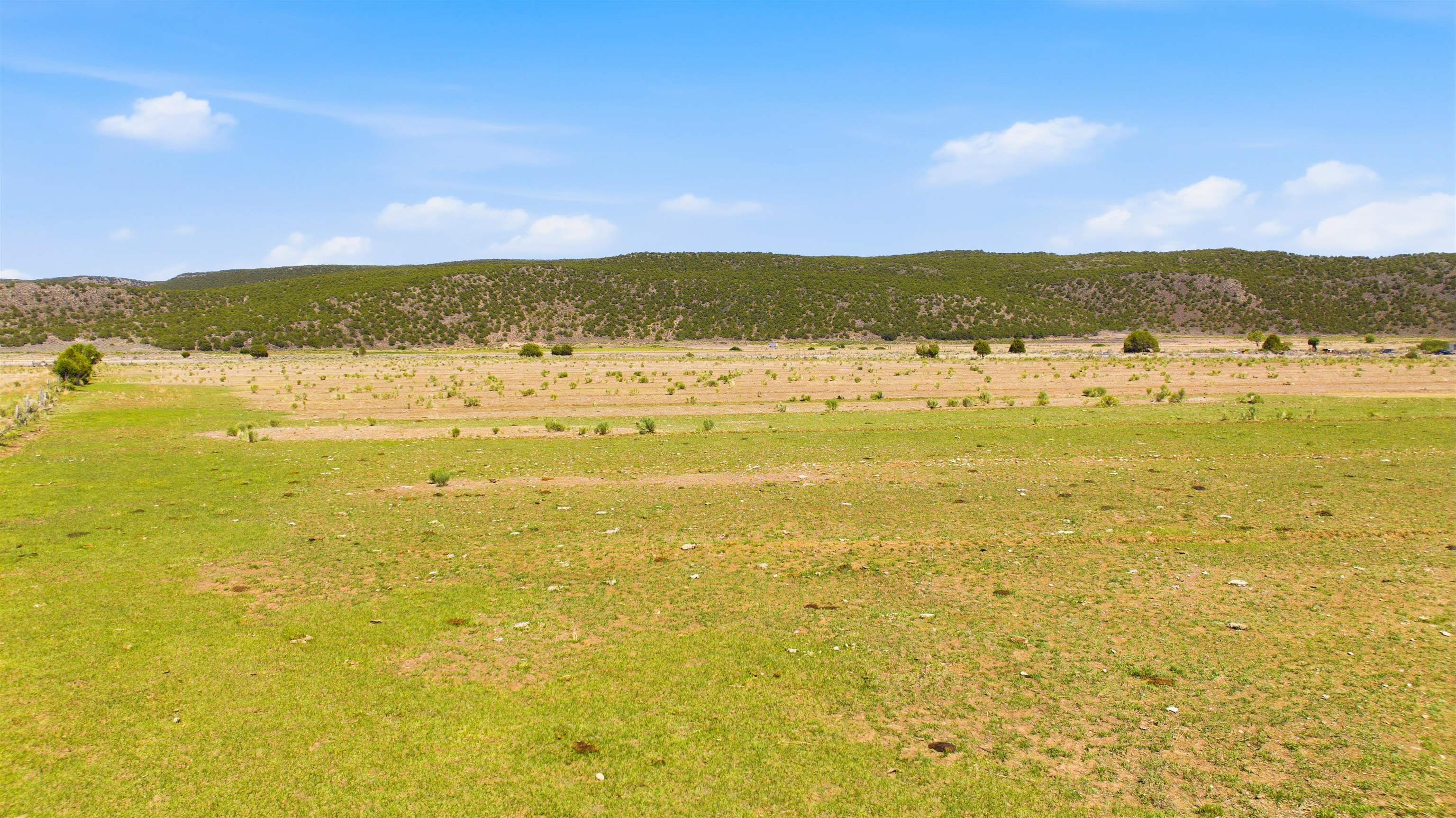 15 Plus Acres off Highway 522 and Myers