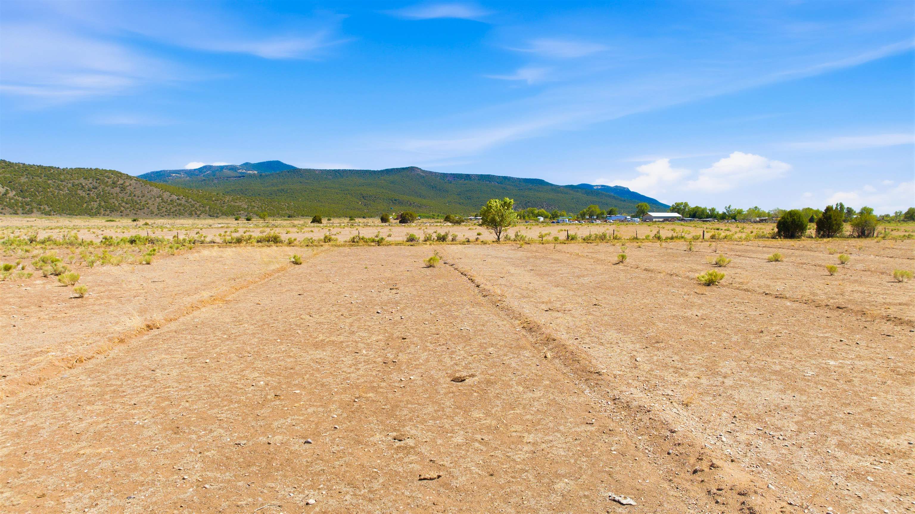 15 Plus Acres off Highway 522 and Myers