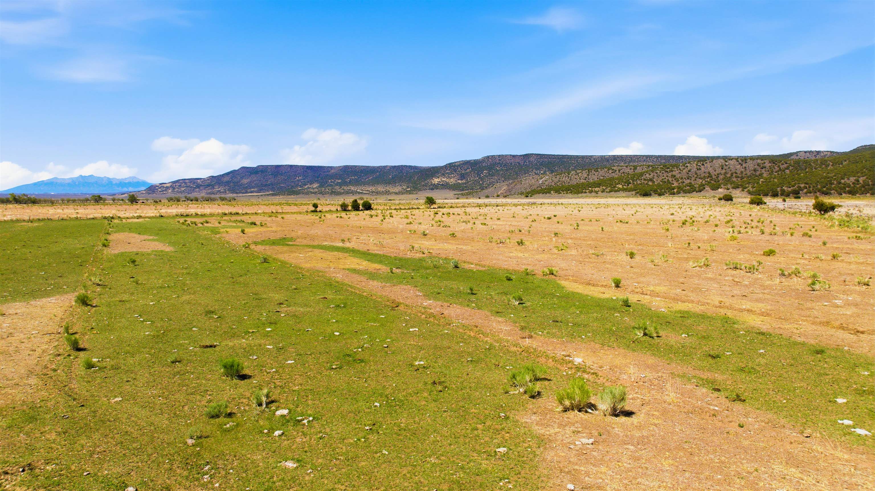 15 Plus Acres off Highway 522 and Myers