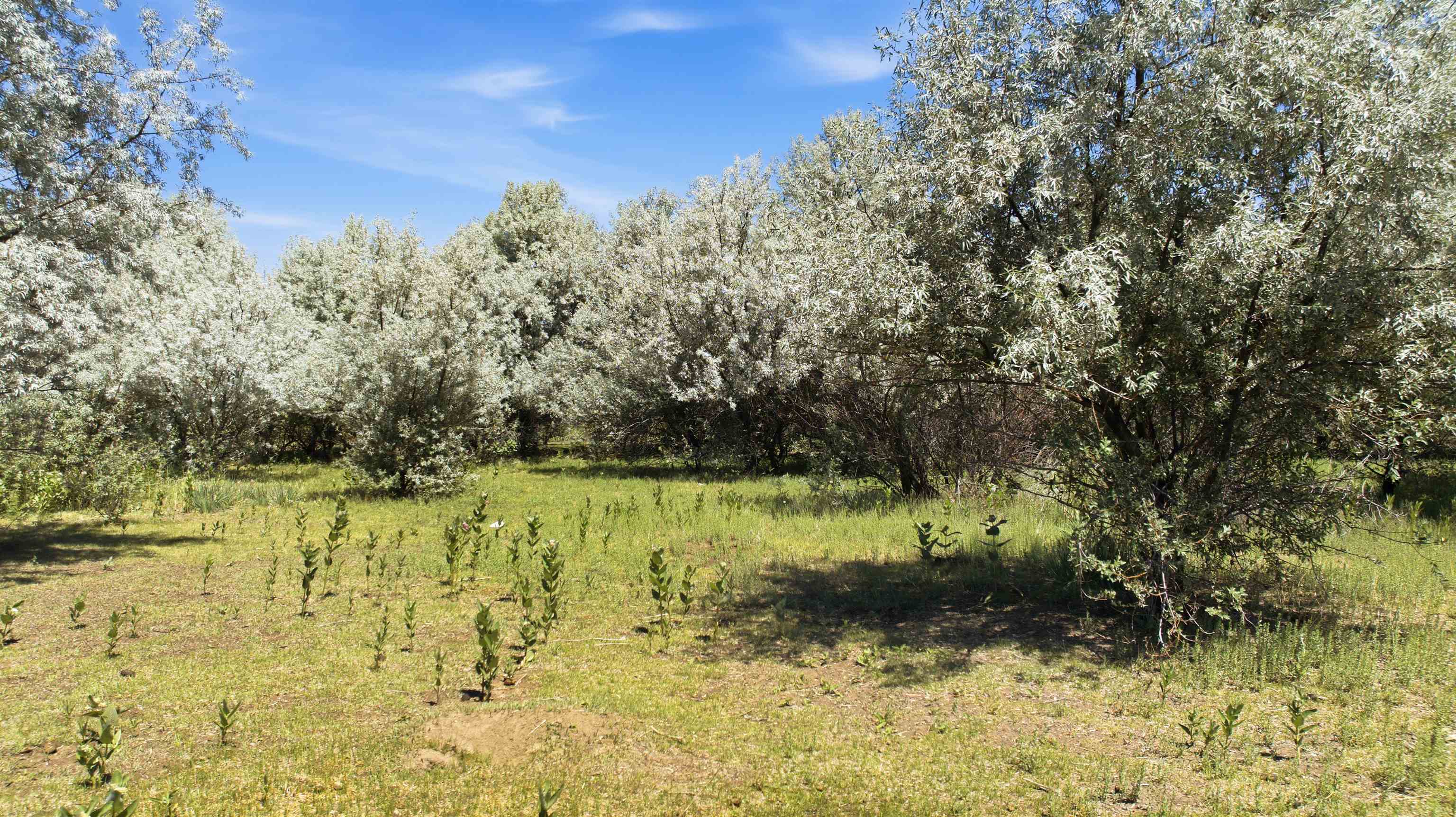 3 Acres Cordillera Tract C 3 A