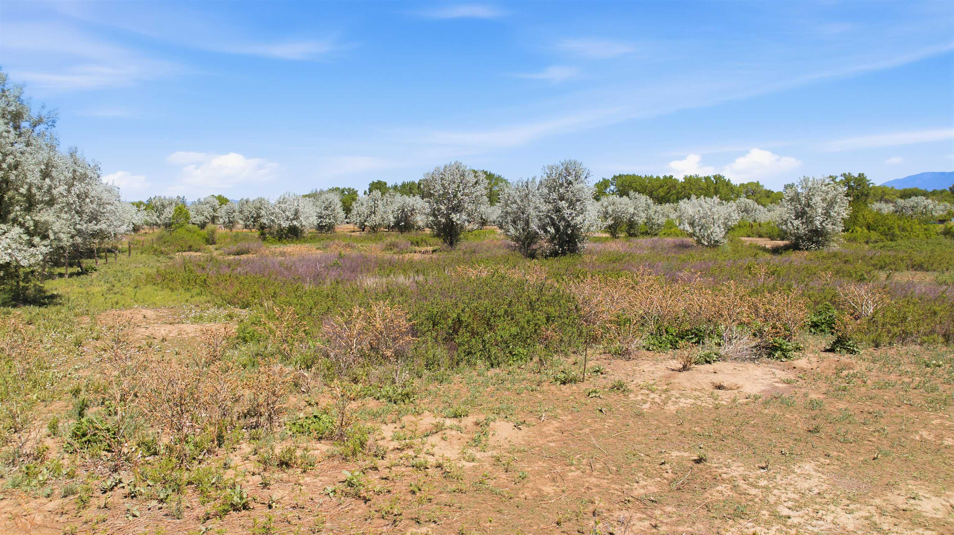 3 Acres Cordillera Tract C 3 A