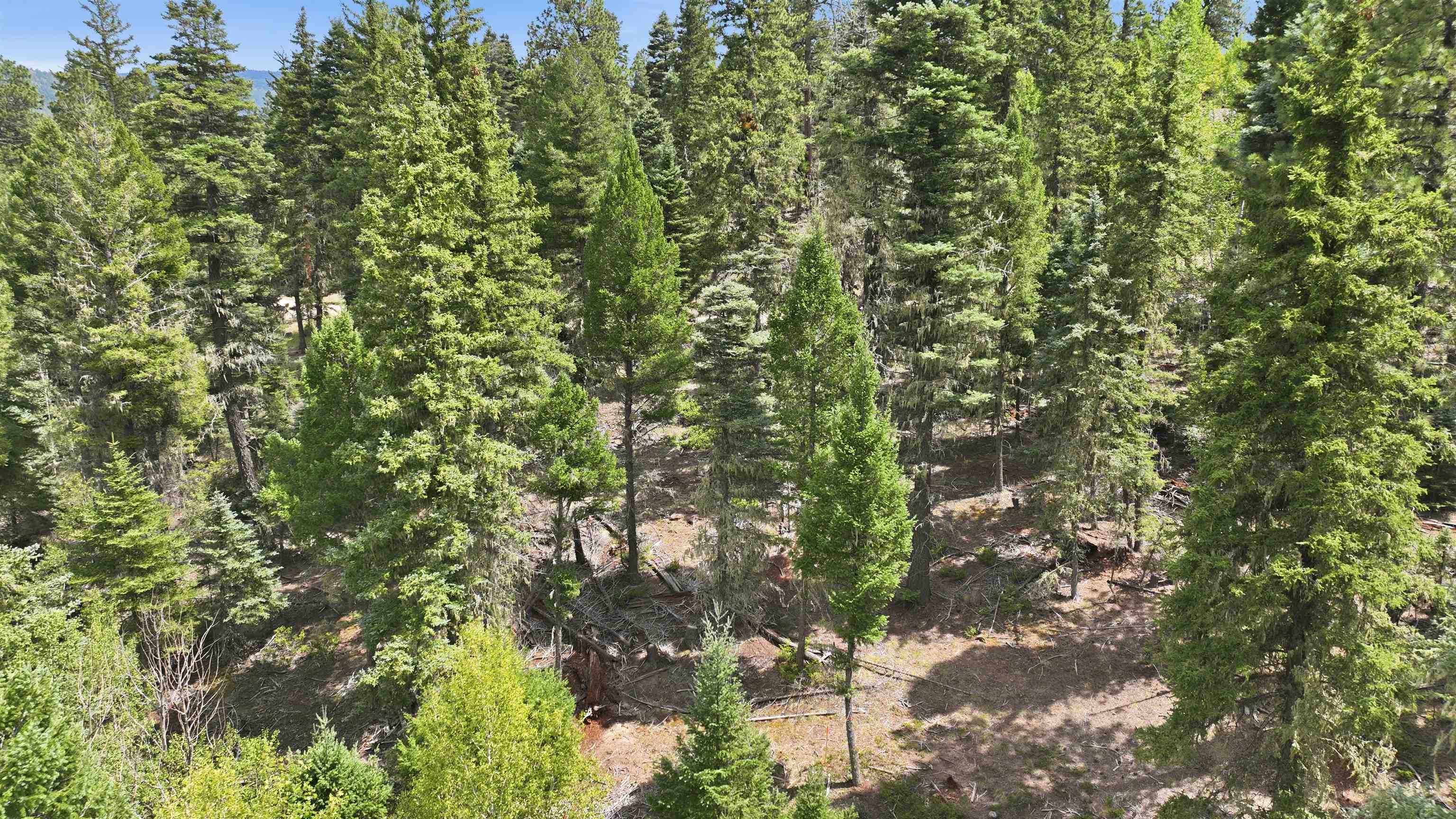 0 Circle Drive Half Acre