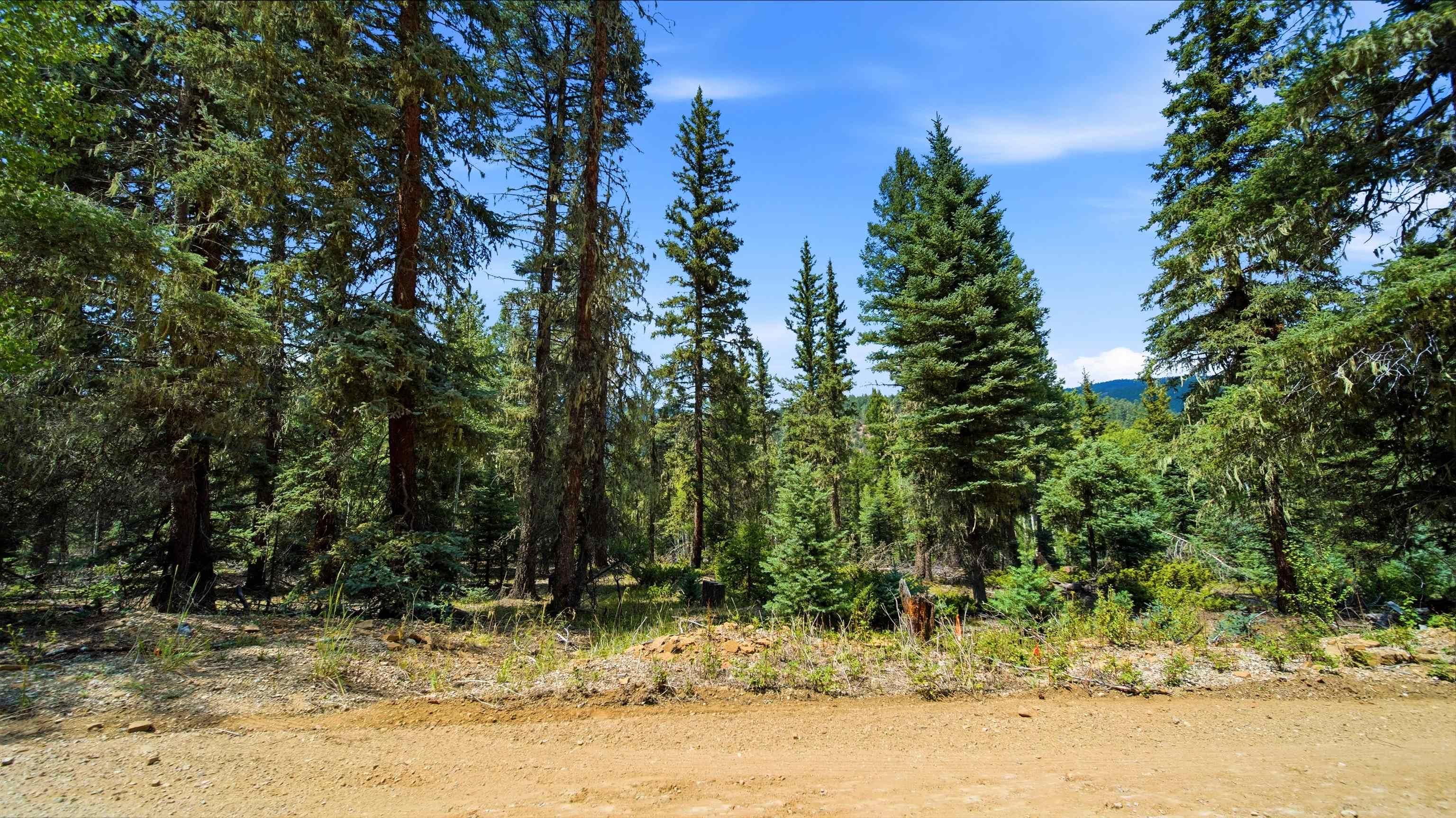 0 Circle Drive Half Acre