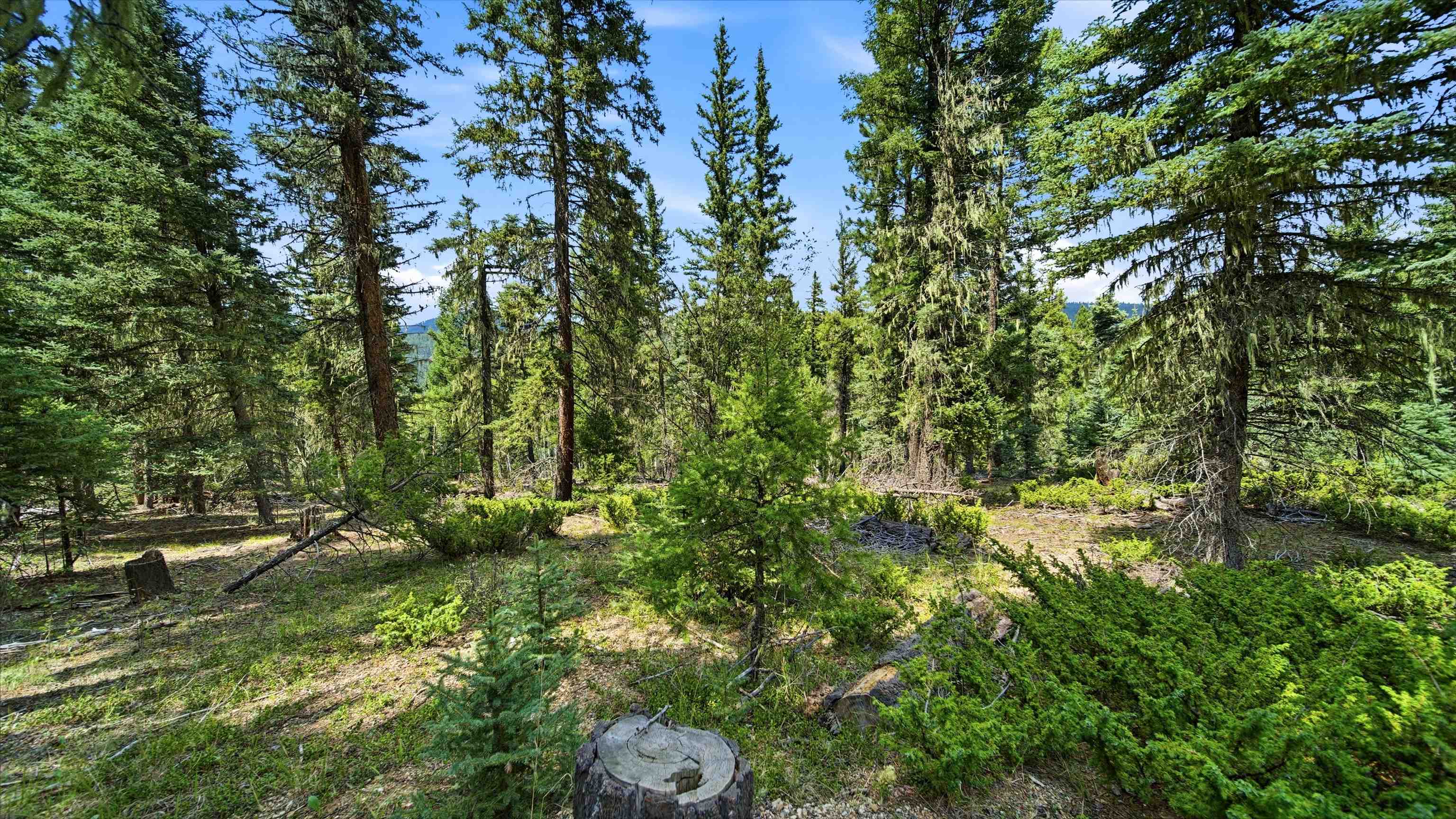 0 Circle Drive Half Acre