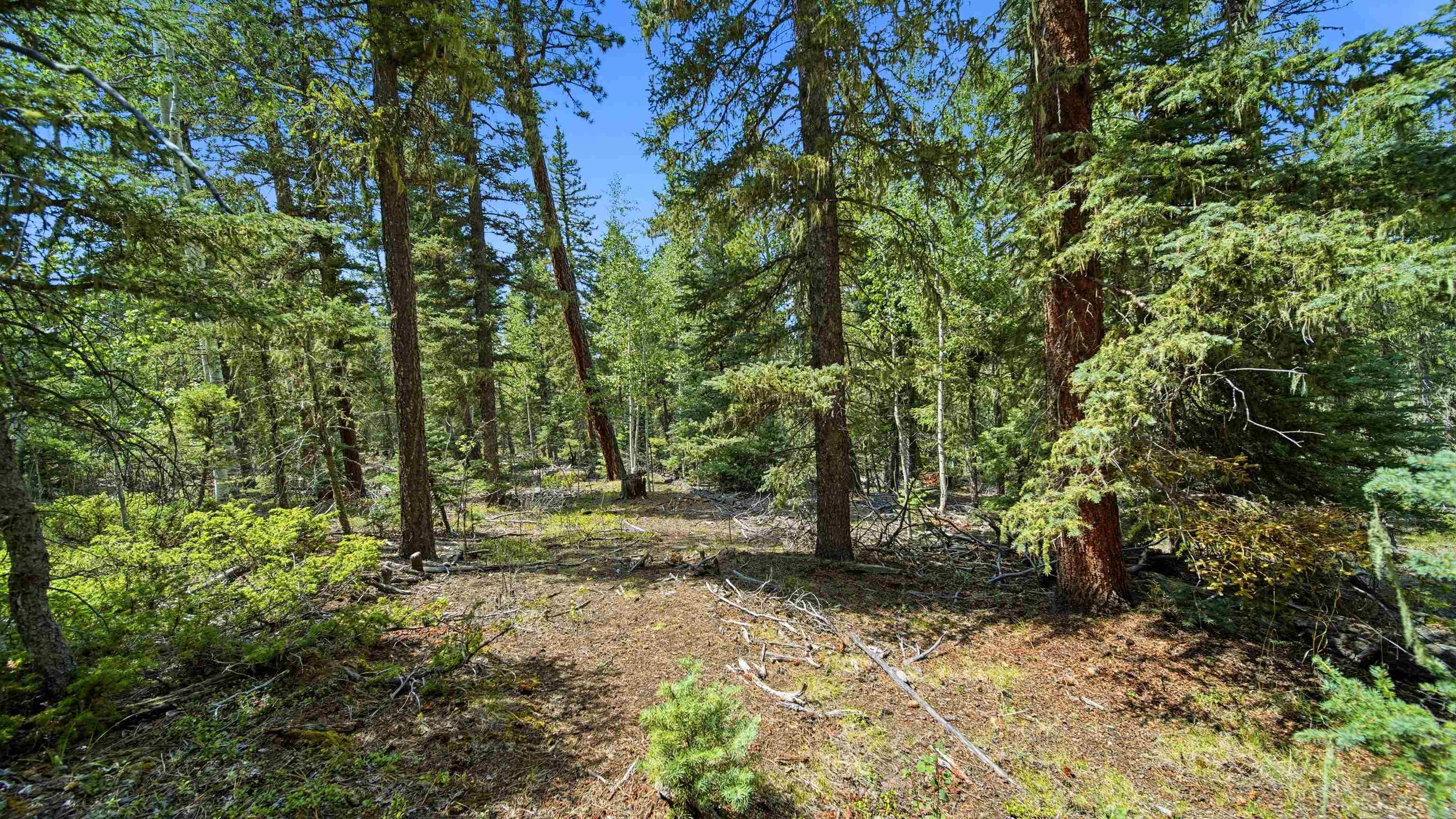 0 Circle Drive Half Acre