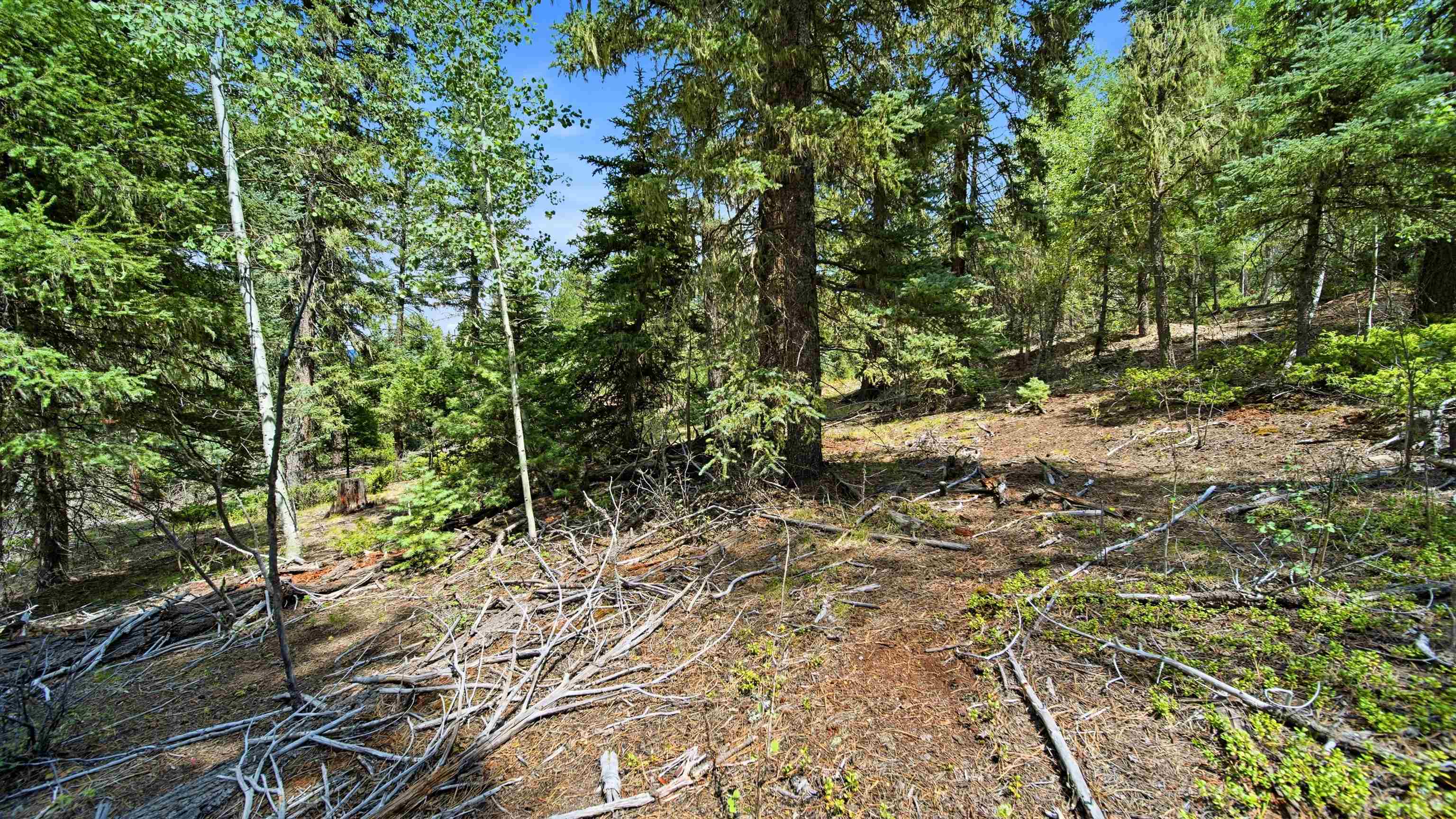 0 Circle Drive Half Acre