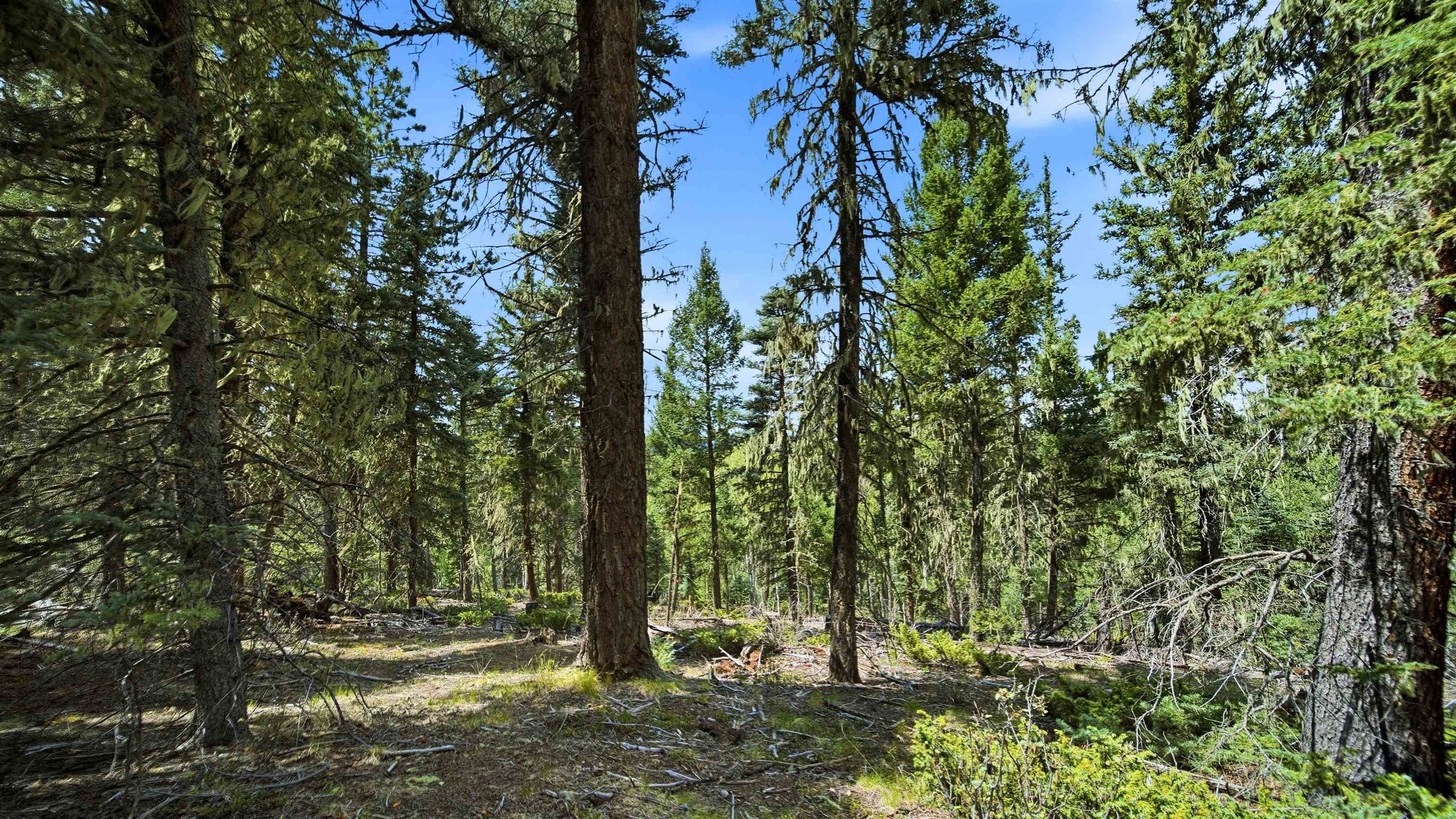 0 Circle Drive Half Acre