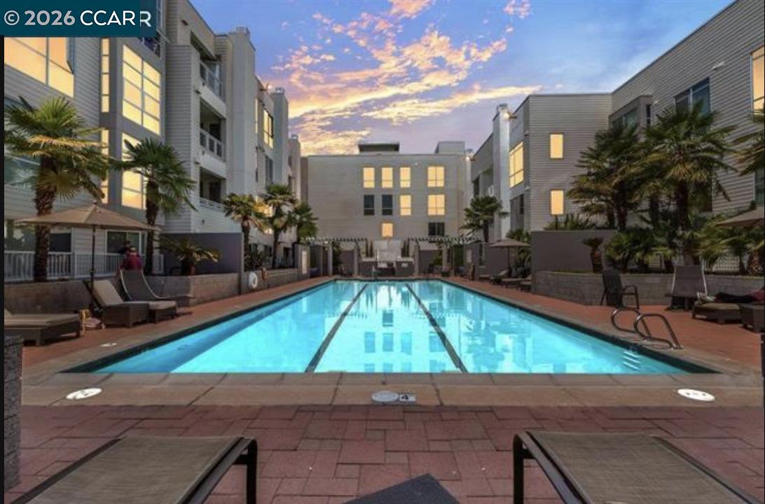 Residential courtyard pool with palm trees and lounge chairs at dusk.
