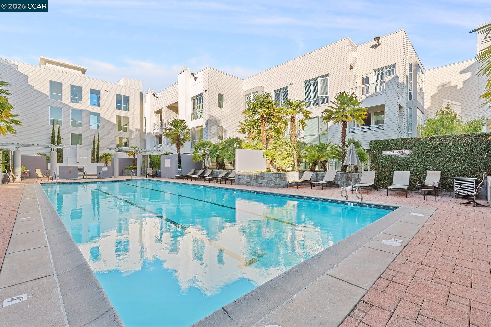 Condominium courtyard pool with palm trees, modern buildings, and lounge chairs.