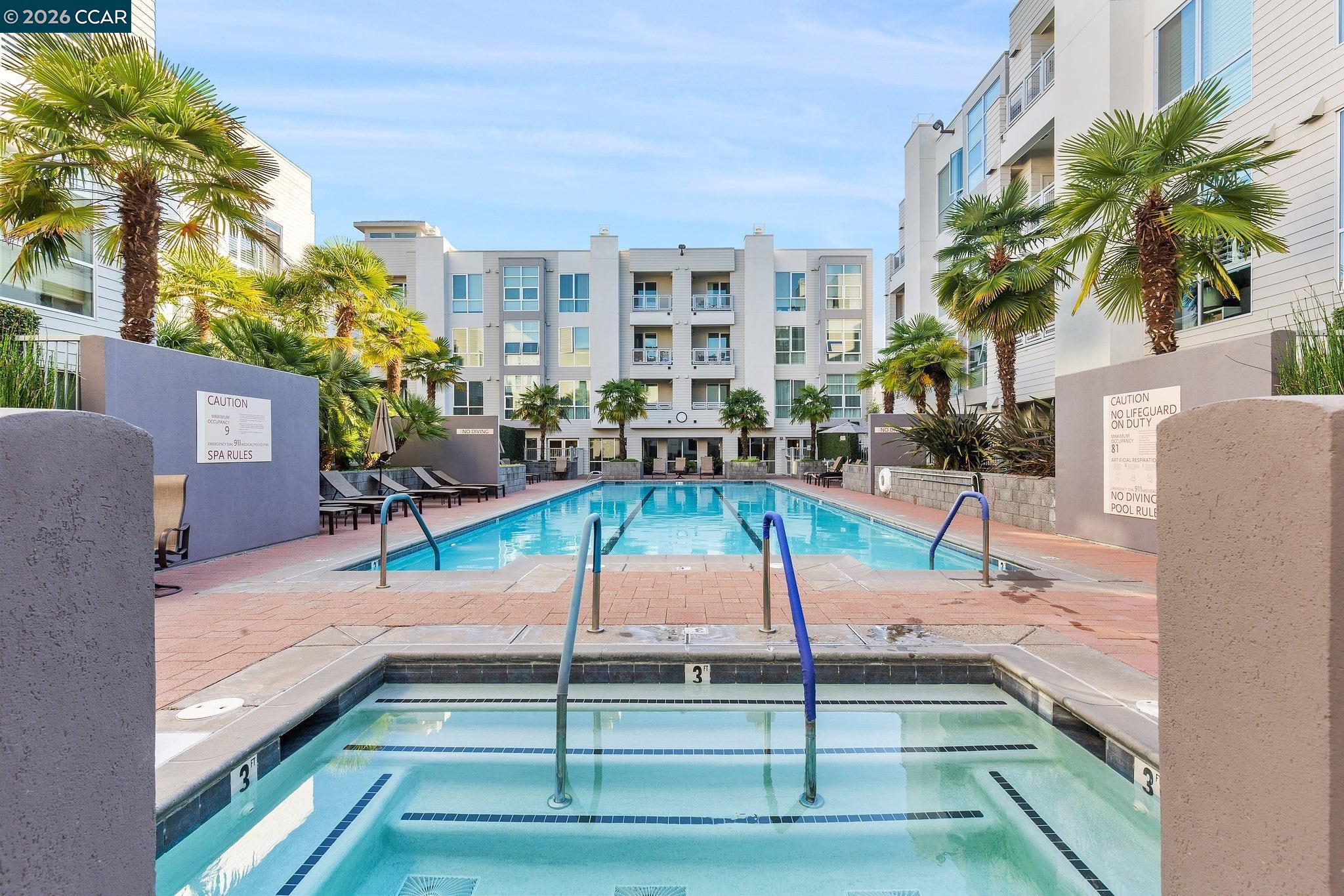 Apartment complex pool and spa surrounded by palm trees and lounge chairs.