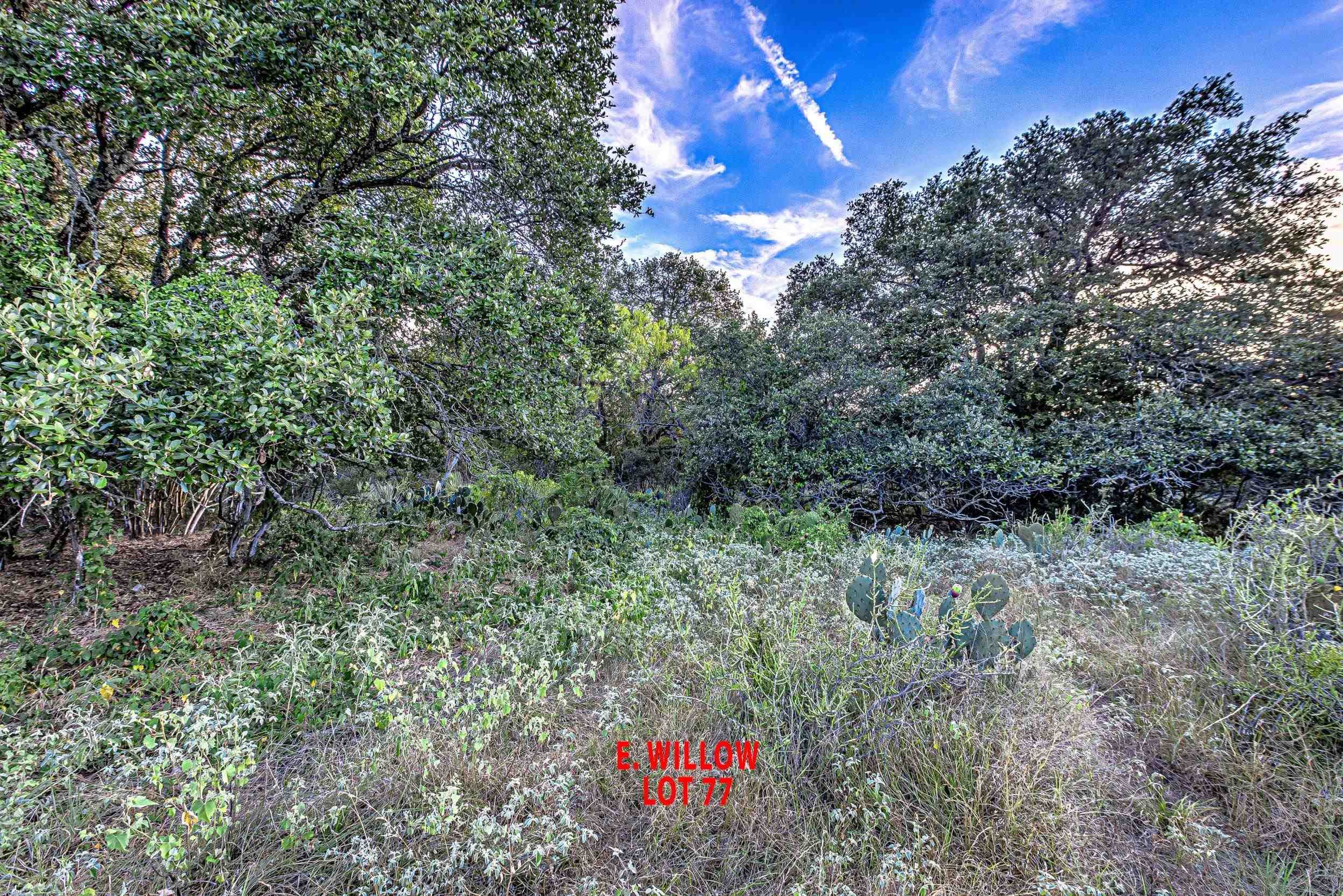 Lot 77 E Willow Drive