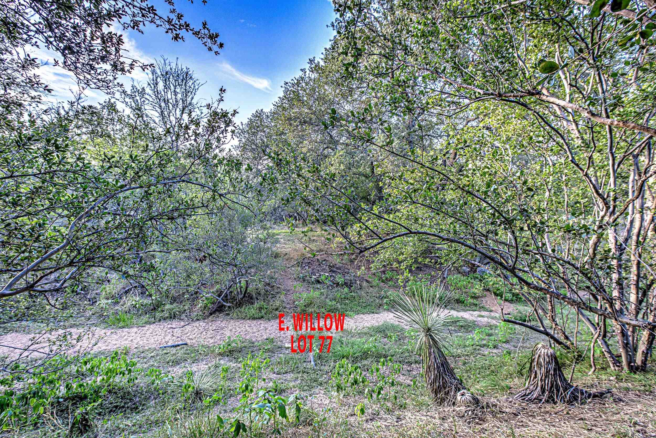 Lot 77 E Willow Drive