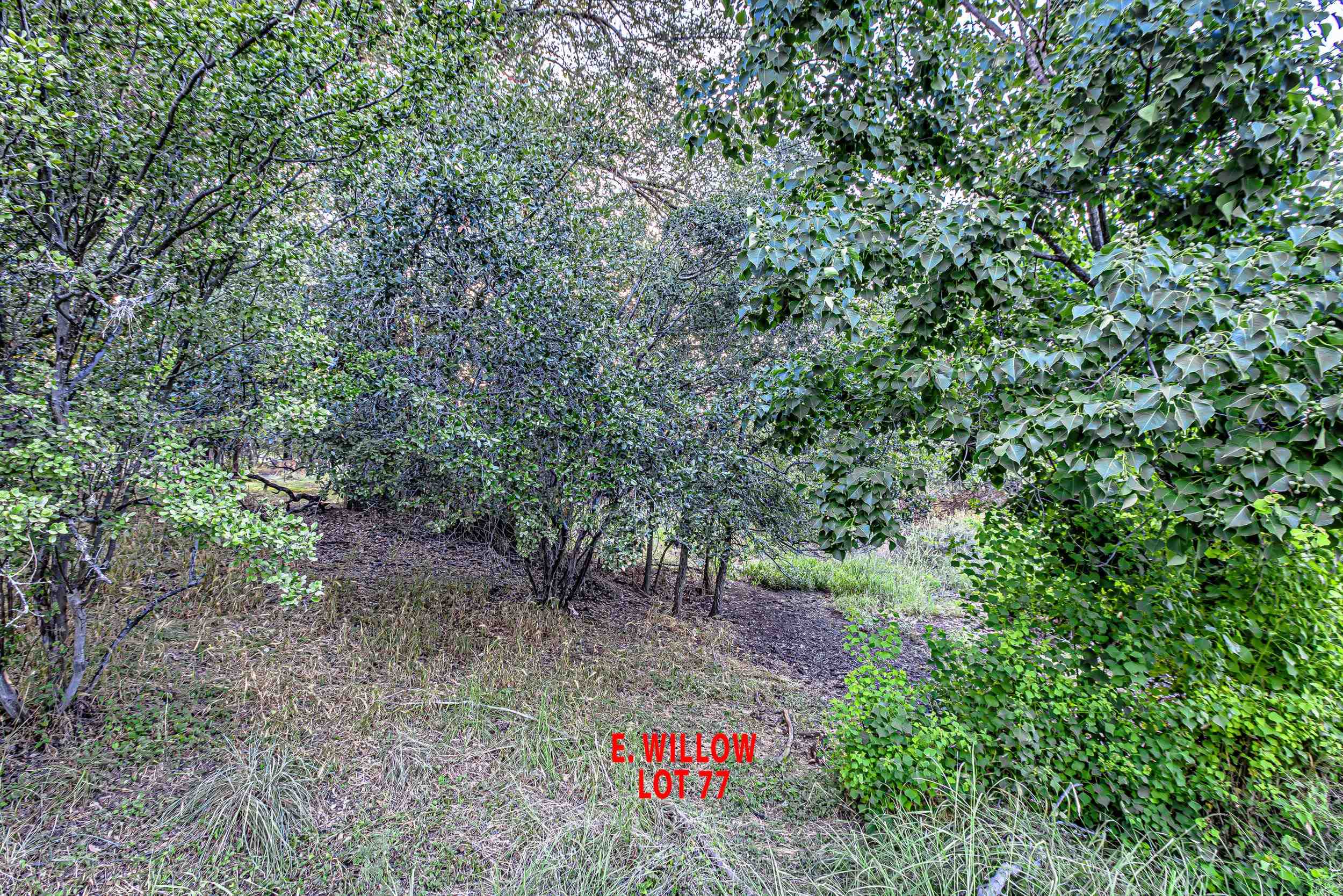 Lot 77 E Willow Drive