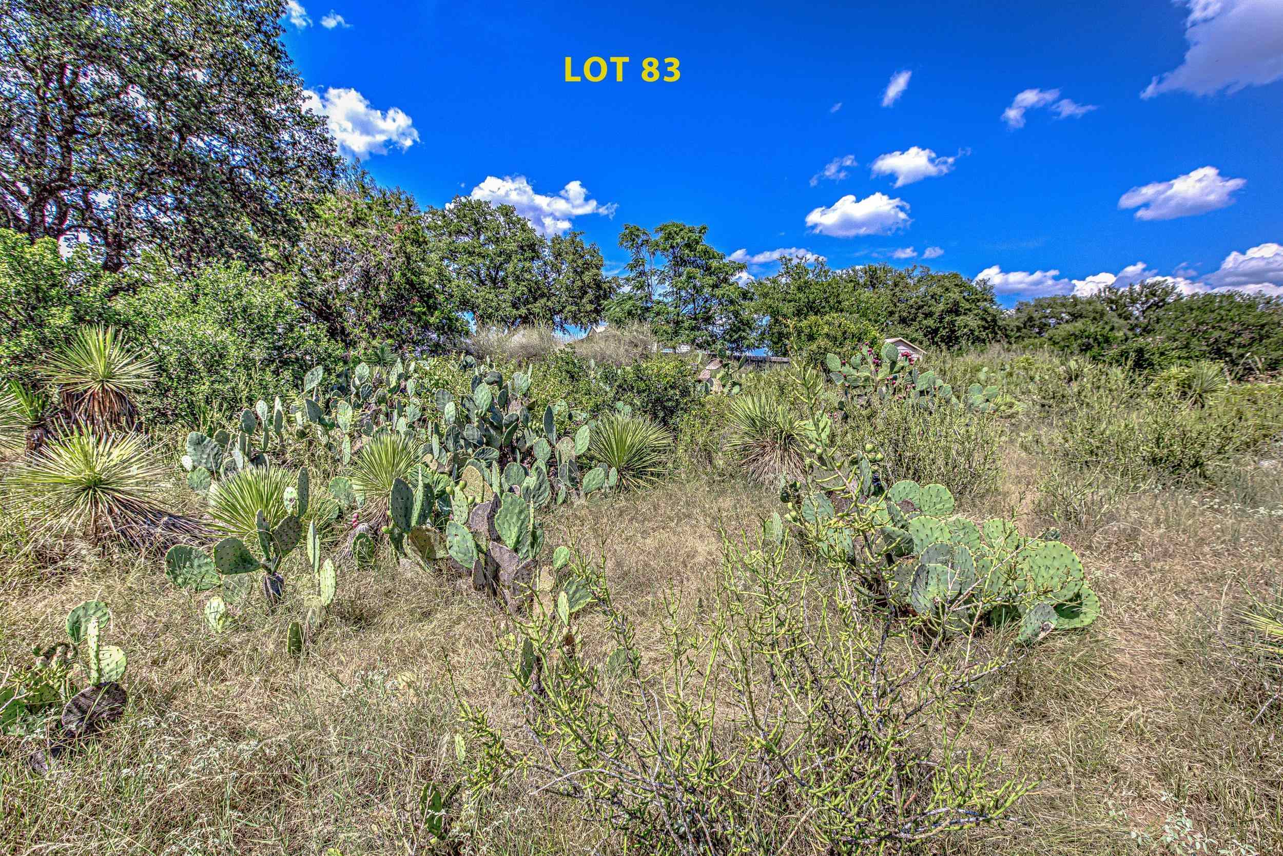 Lot 83 W Bluebriar Drive