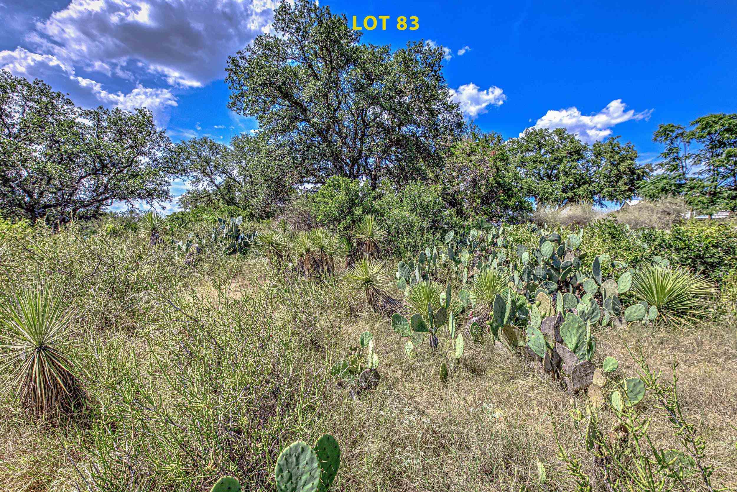 Lot 83 W Bluebriar Drive