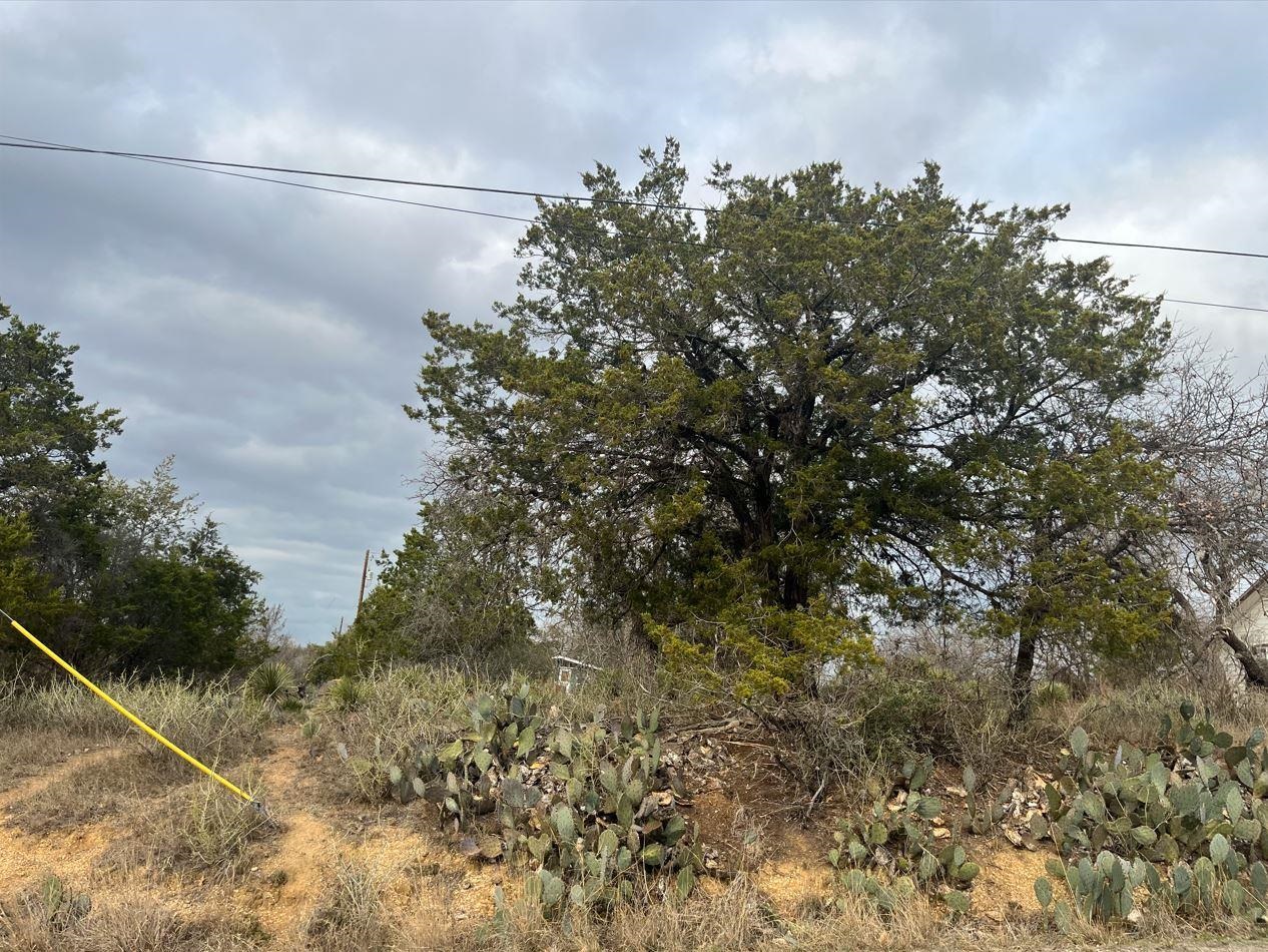 Lot 261 W Briarway Drive