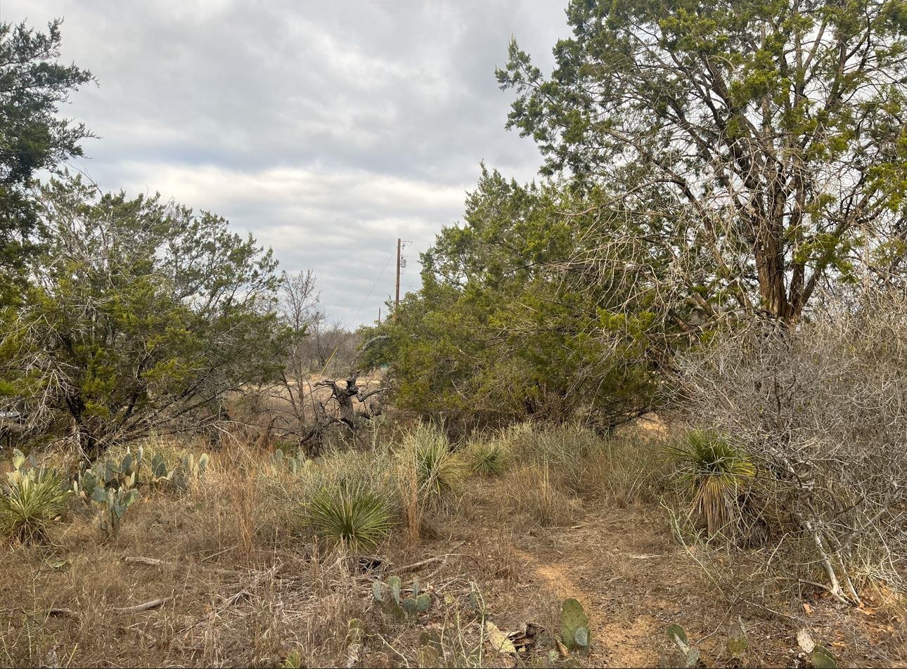 Lot 261 W Briarway Drive