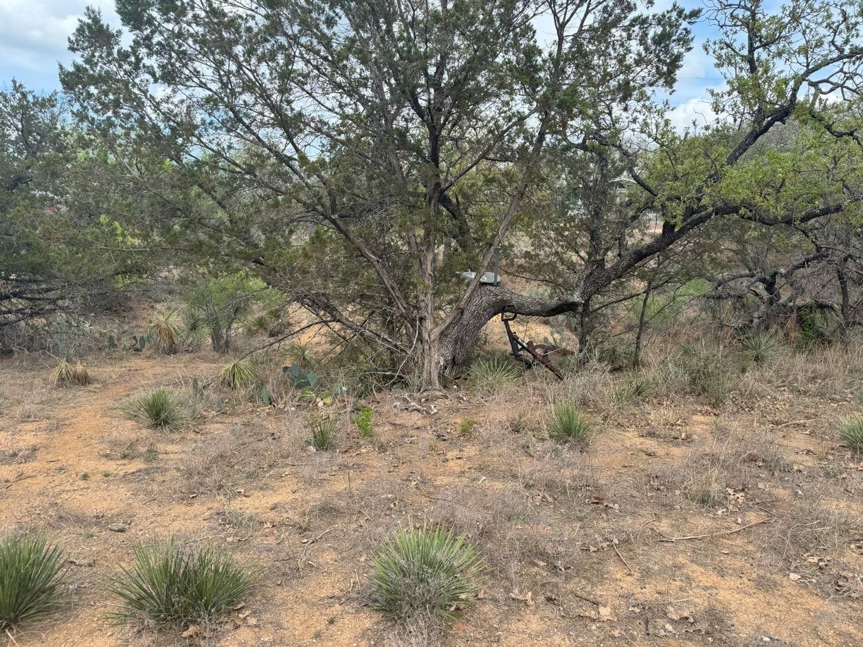 Lot 260 W Briarway Drive
