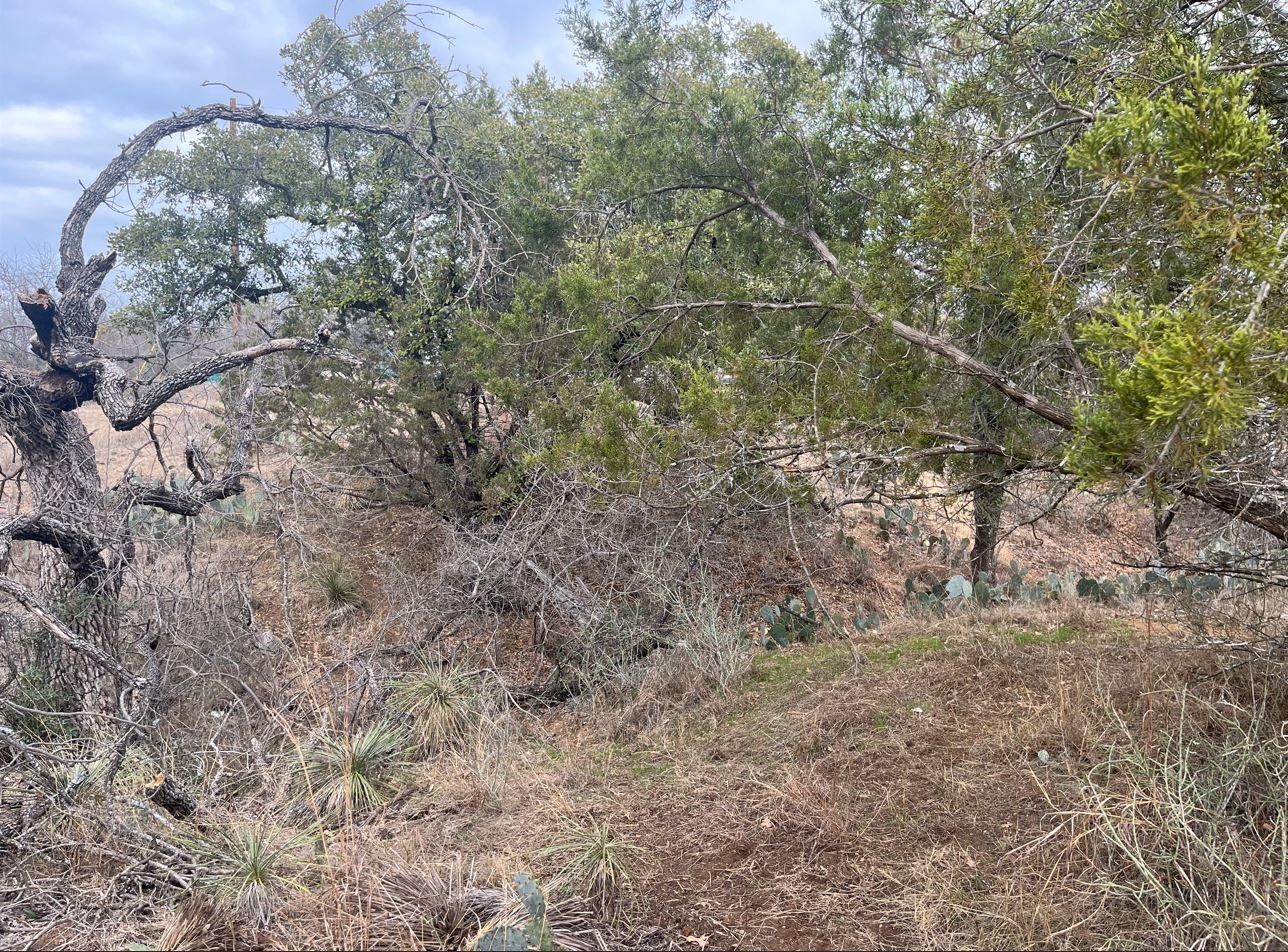 Lot 261 W Briarway Drive