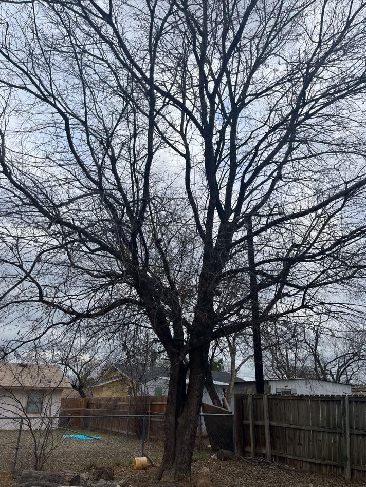 Lot 468 Aspen LN