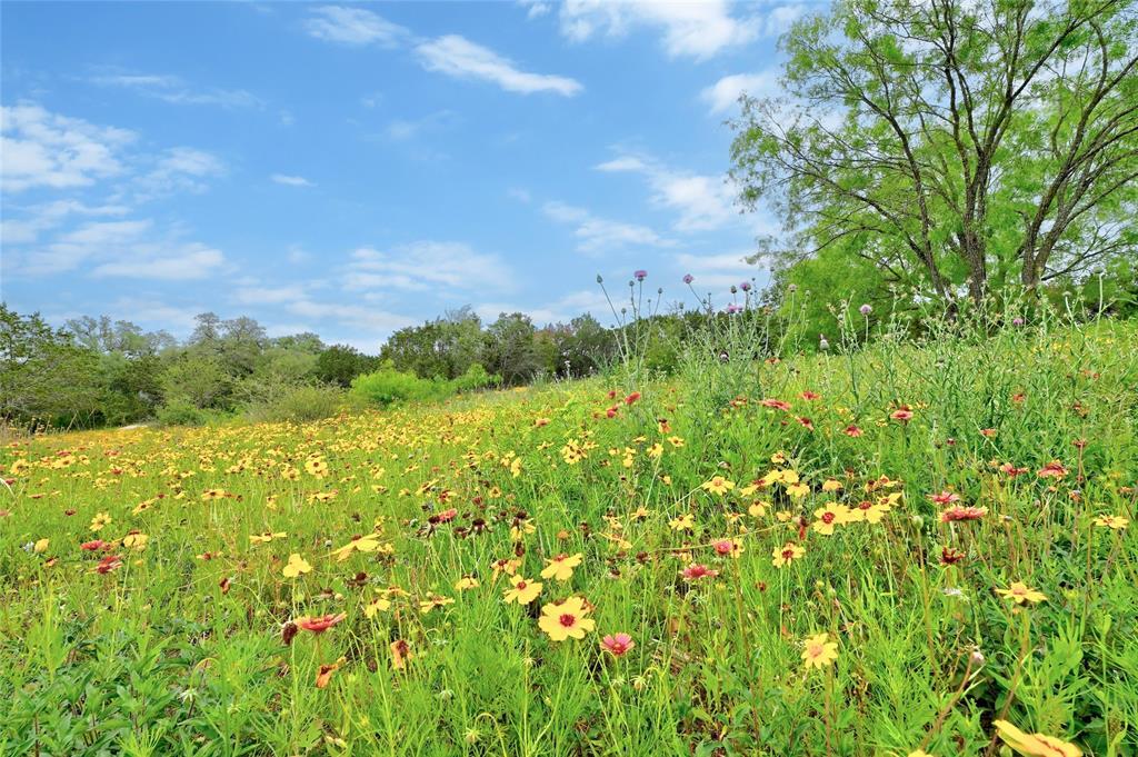 Lot 18 South CV