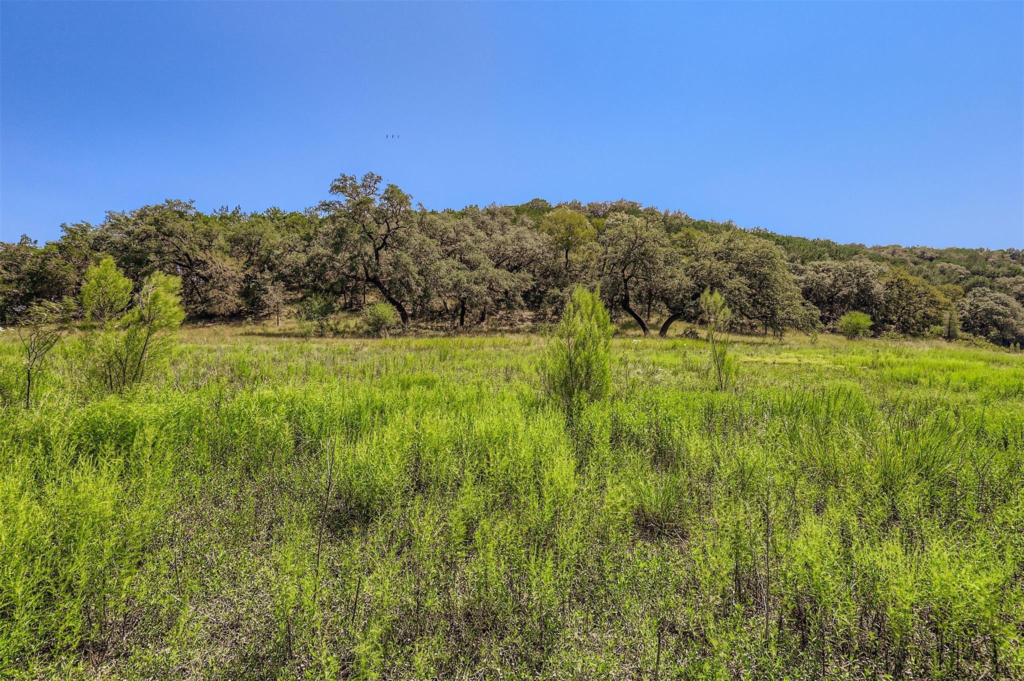 Lot 14-A CAROL CV