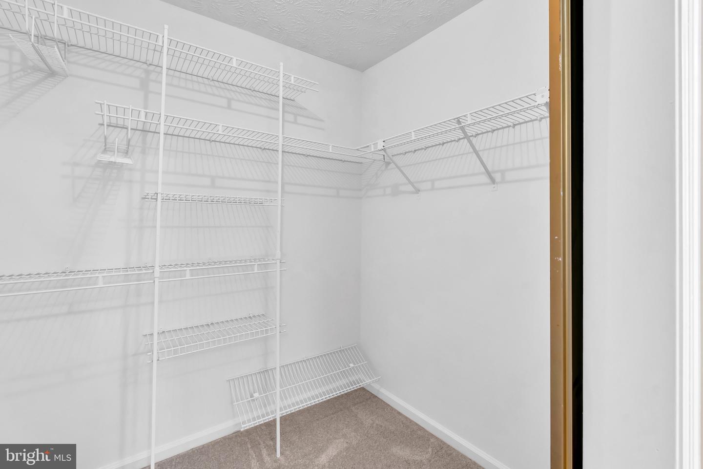 14109 STONECUTTER DR
