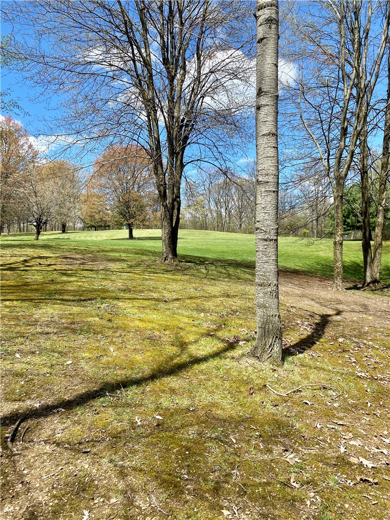 285 Rochester Rd