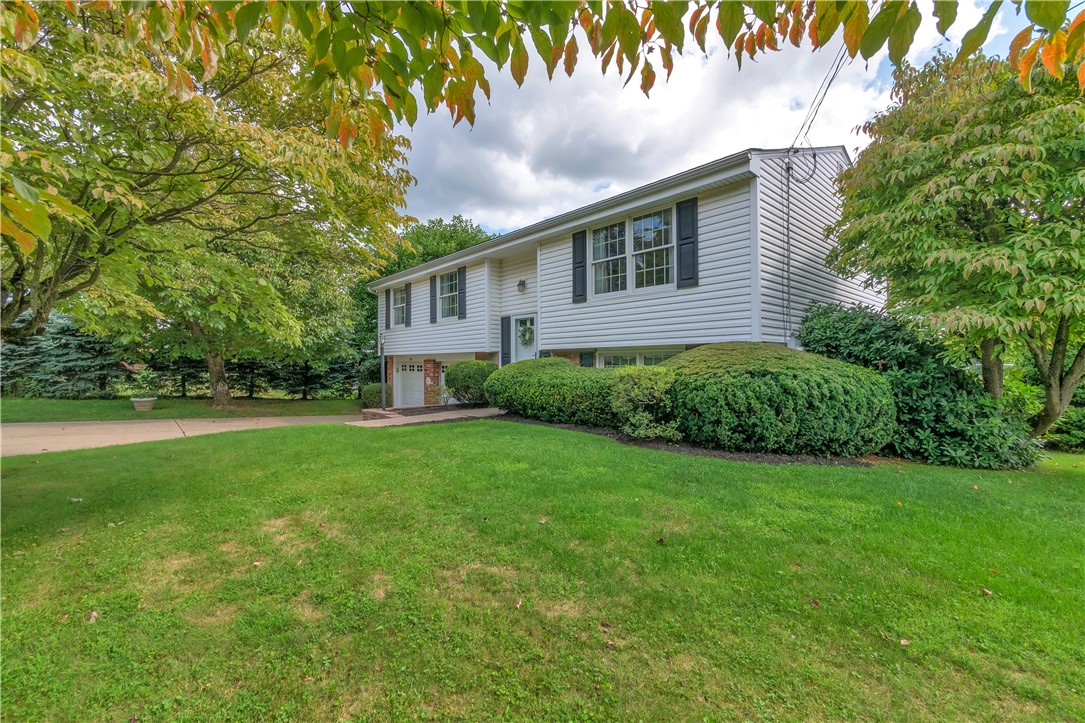 237 Acre Ave