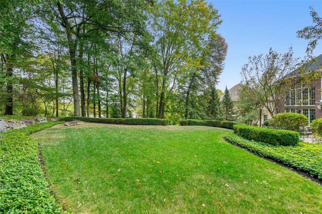 909 Big Bear Court