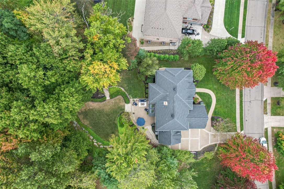 909 Big Bear Court