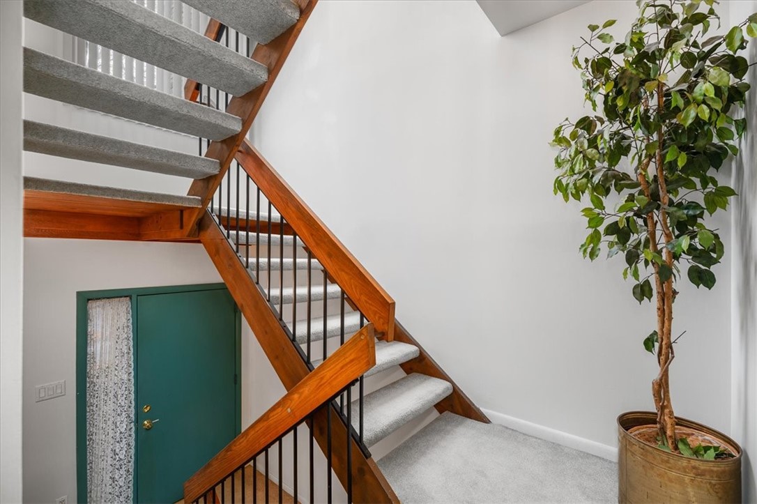 233 Pine Ct