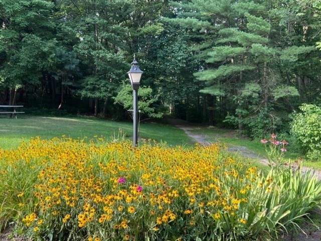 108 Saybrook Harbor