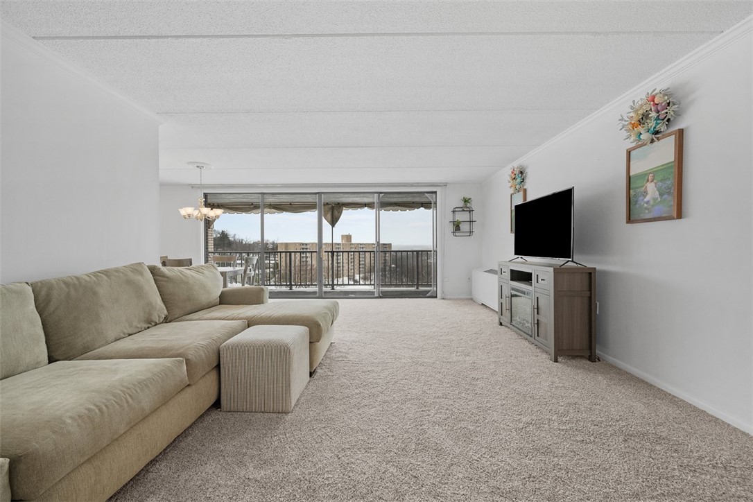 1160 Bower Hill 508B