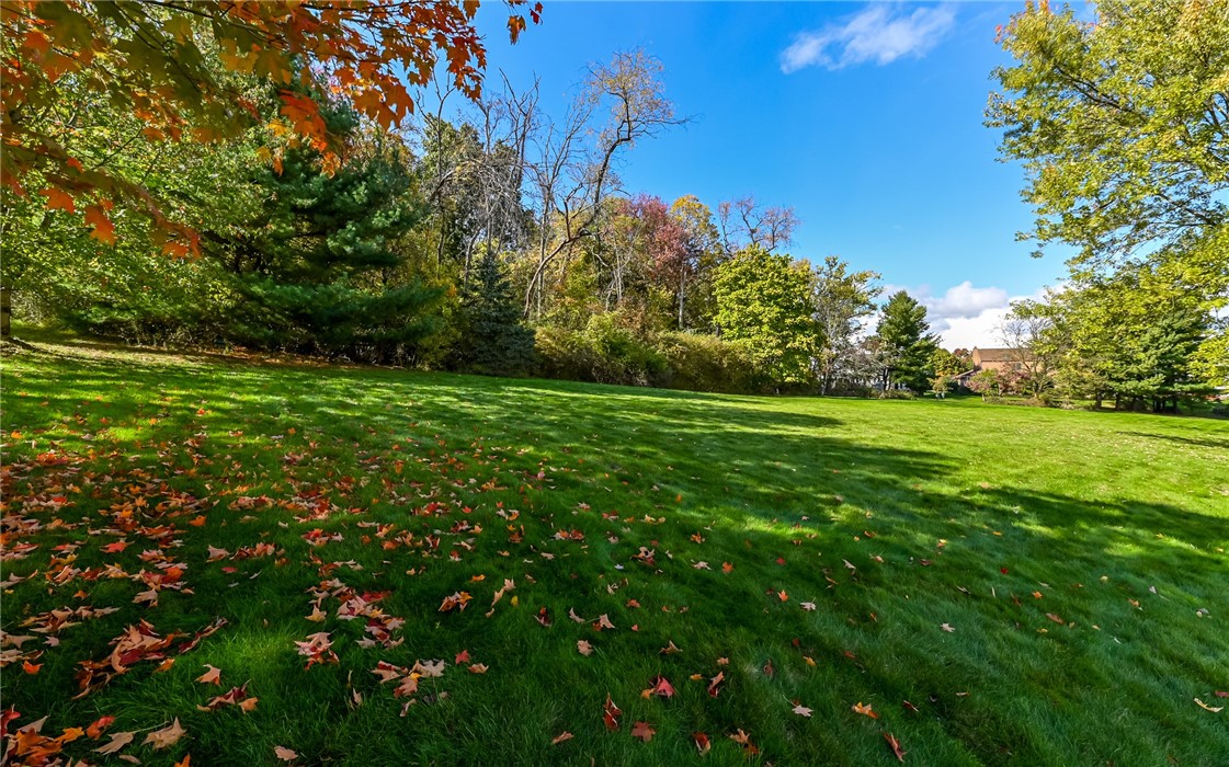4835 Shamrogue Ct