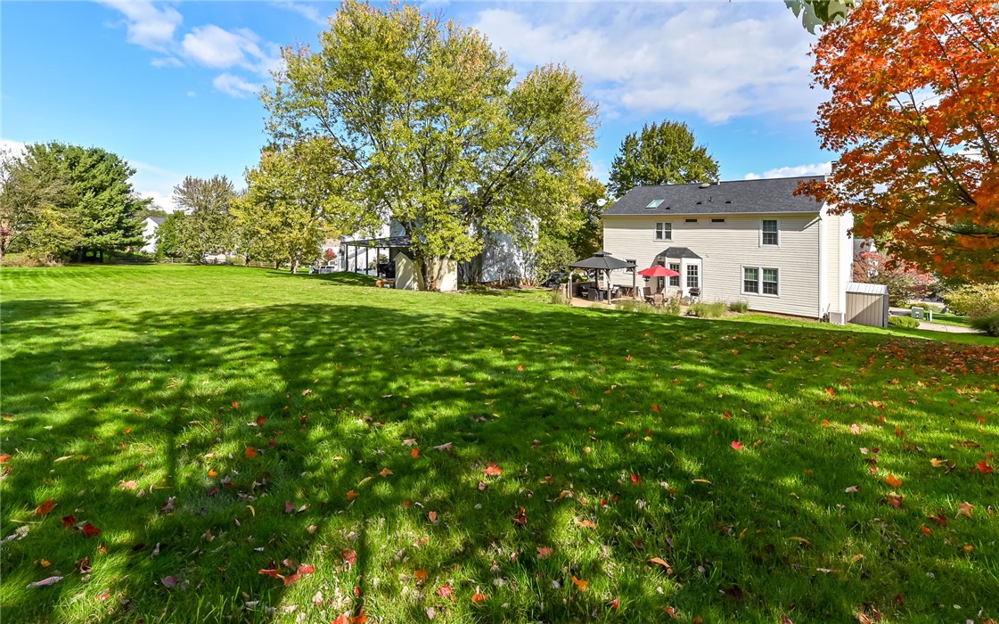4835 Shamrogue Ct