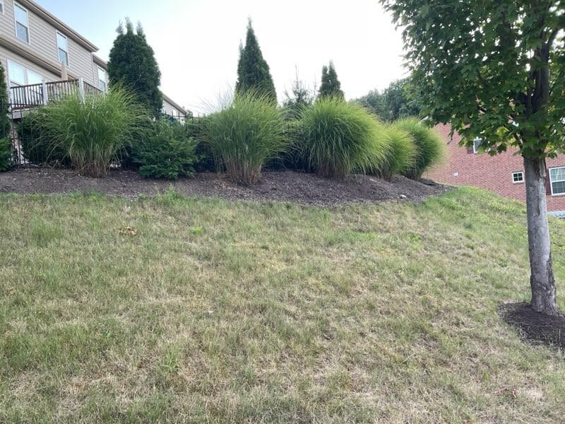 800 Whitney Dr