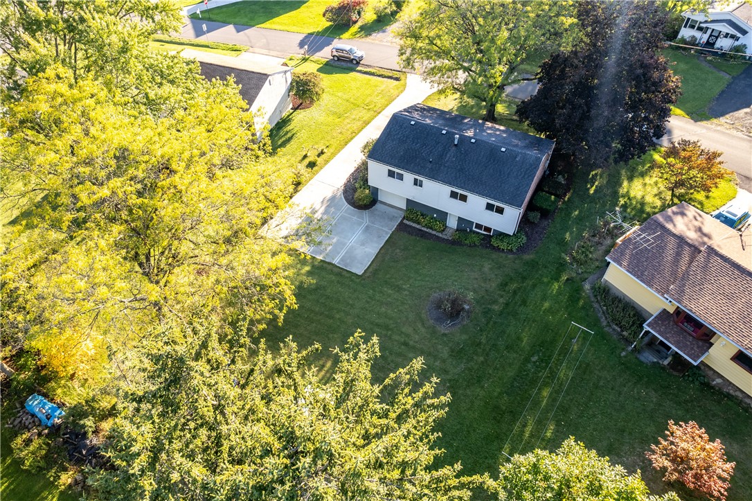 118 Elizabeth Drive