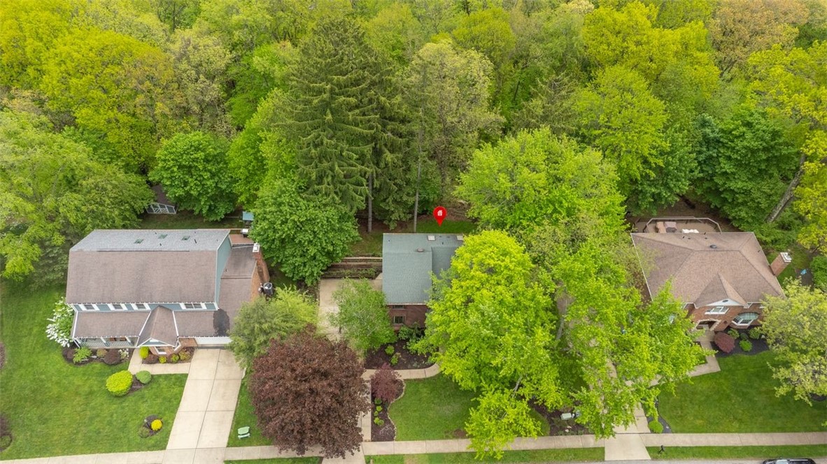 10186 Woodbury Dr