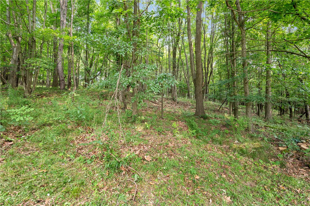 213 Main Hill Rd